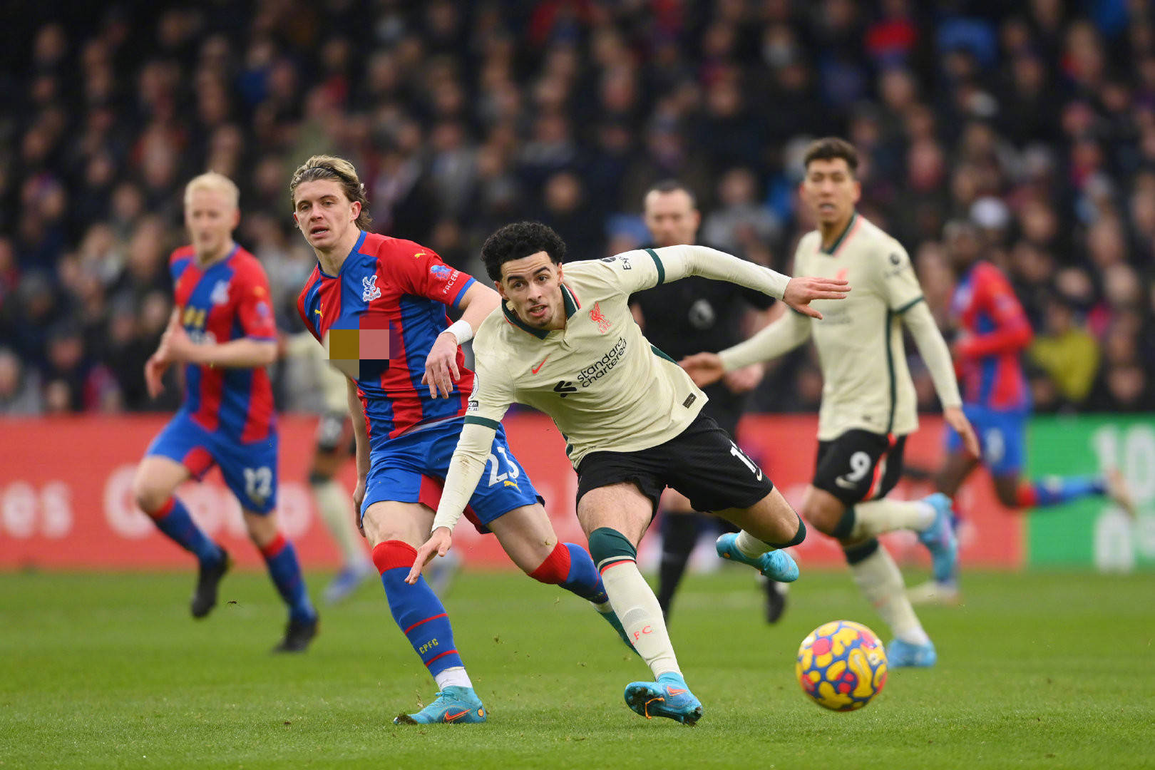 成长与奋斗 成长与奋斗